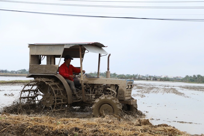 Nông dân Hải Dương rộn ràng xuống đồng đầu năm mới - 1