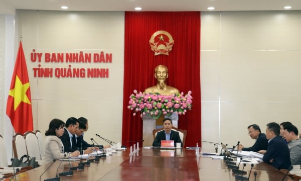 Standing Committee of the Provincial Party Committee held a meeting to deploy tasks