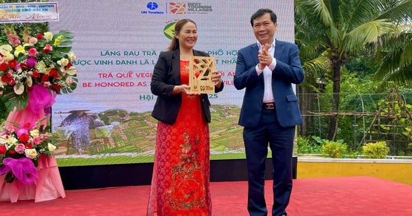 Awarding the UN Tourism's "Best Tourist Village 2024" logo to Tra Que vegetable village