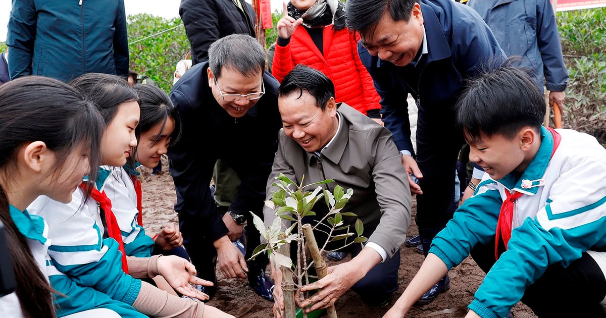 El Ministerio de Recursos Naturales y Medio Ambiente lanzó el "Festival de Plantación de Árboles para recordar por siempre al Tío Ho" en Thai Binh