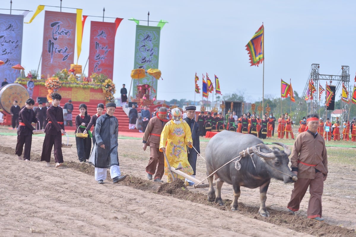 Một nông dân vào vai nhà vua đi cày ruộng- Ảnh 2.