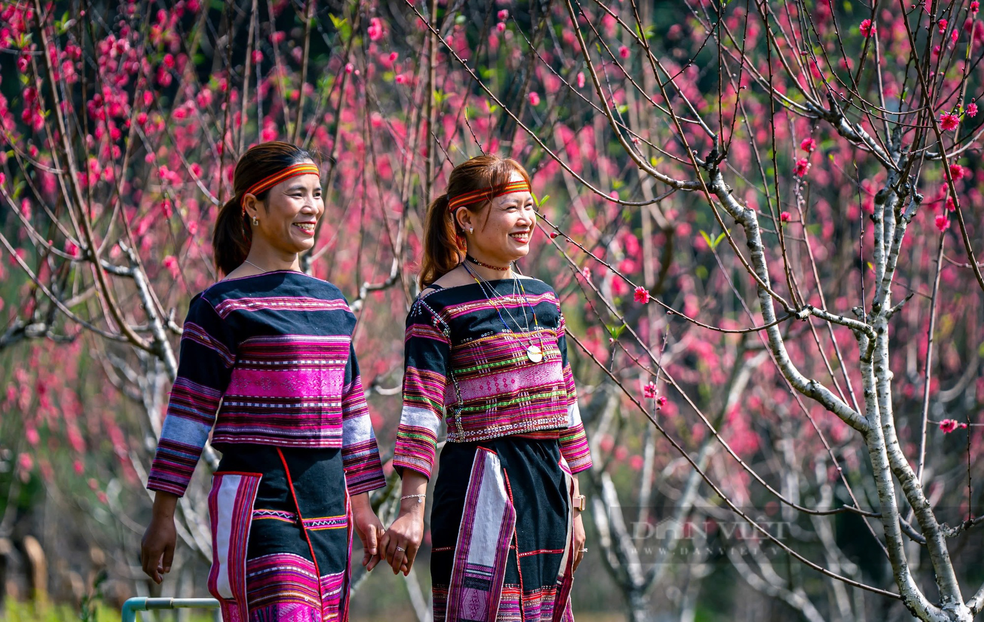 Bản làng của người Ba Na đẹp như phim ở Bình Định, cả làng rủ nhau trồng hoa, rau sạch, để hút khách - Ảnh 1.