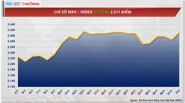 Los precios de la soja se recuperan