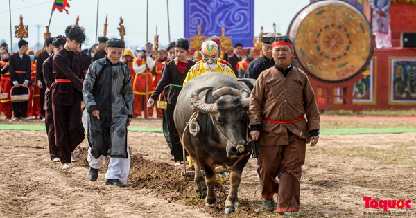 Le festival unique de Tich Dien recrée le « roi » portant une robe royale pour labourer les champs