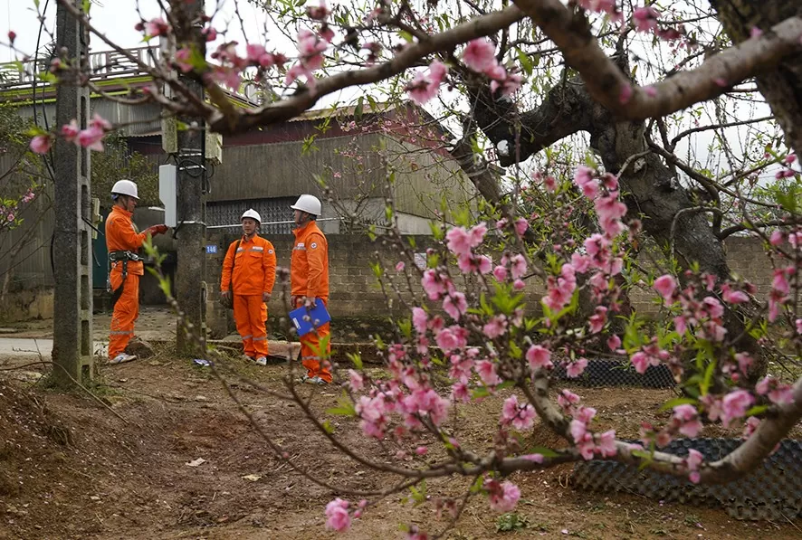 2025年の旧正月の電力供給は7.8%増加