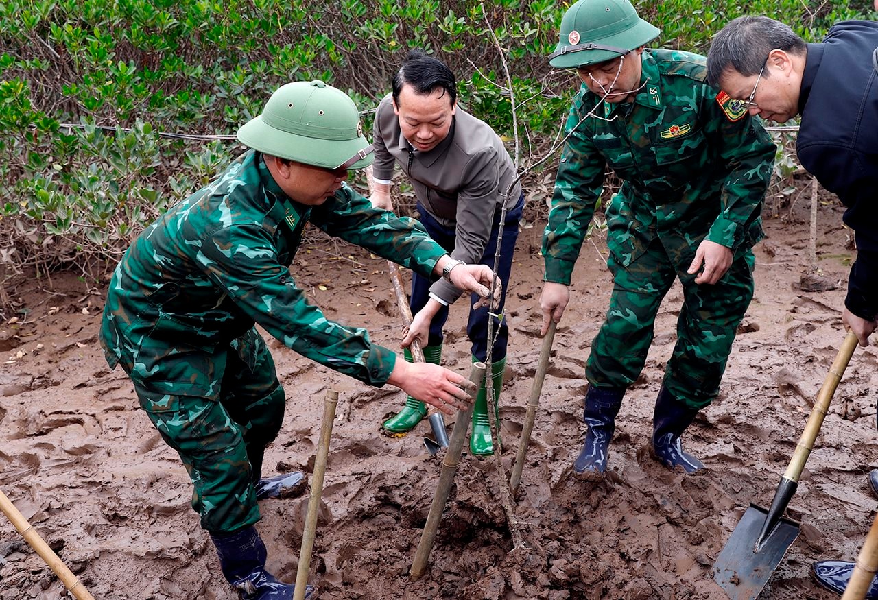 small_20250104_bt-trong-cay-thai-binh_7.jpg