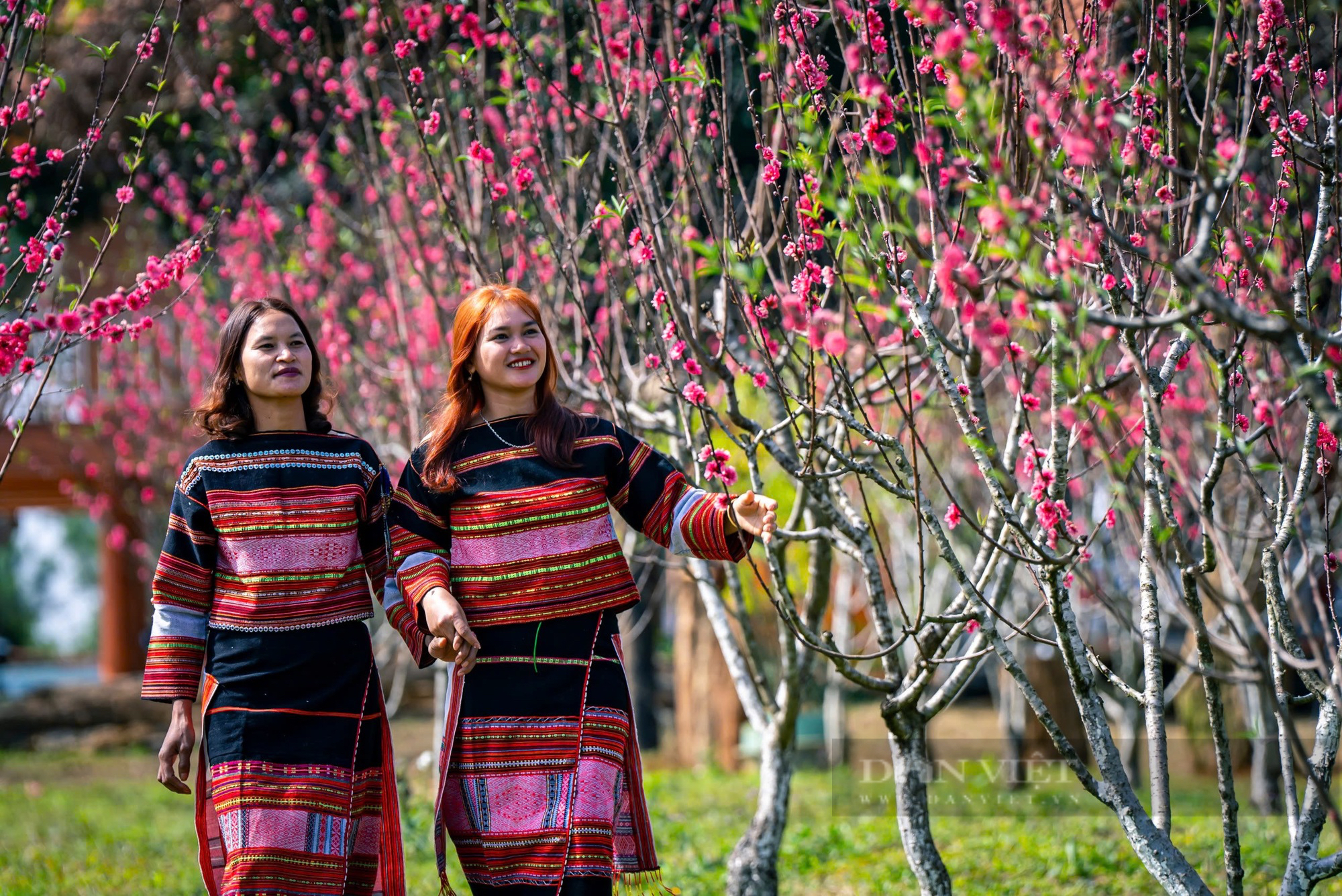 Bản làng của người Ba Na đẹp như phim ở Bình Định, cả làng rủ nhau trồng hoa, rau sạch, để hút khách - Ảnh 4.