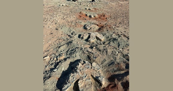 15m long "desert beast" traces revealed in Mongolia