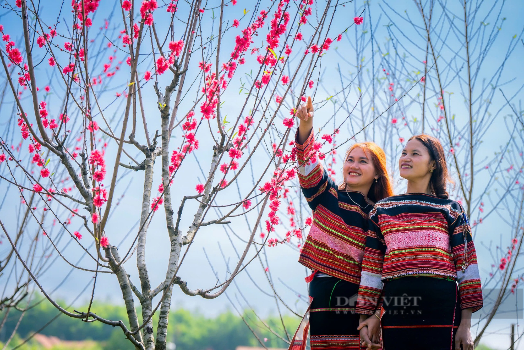 Bản làng của người Ba Na đẹp như phim ở Bình Định, cả làng rủ nhau trồng hoa, rau sạch, để hút khách - Ảnh 8.