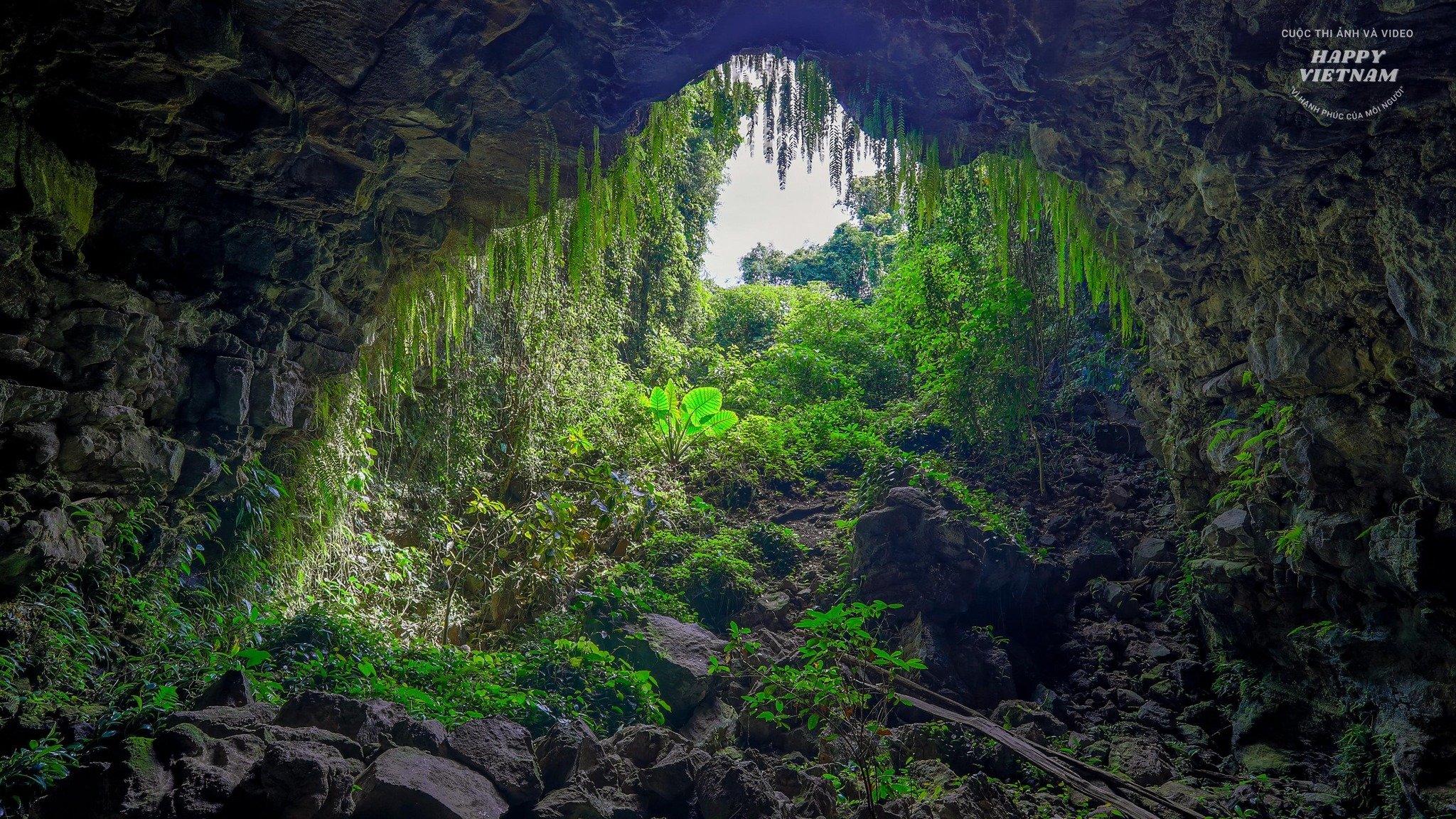 Khám phá động Phong Nha - Sông Chày - Hang Tối độc đáo