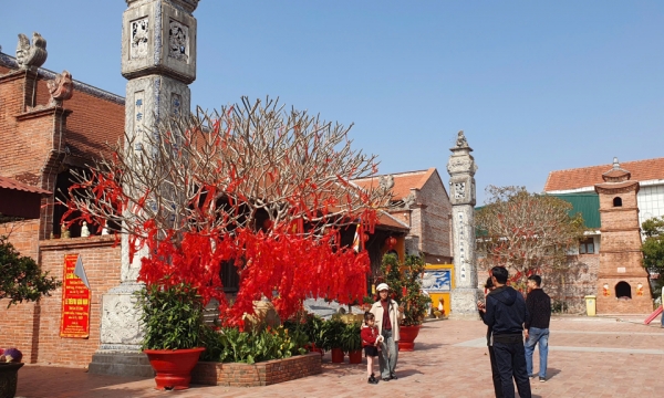 Hai Ha welcomes over 28,000 visitors during Lunar New Year holiday 2025