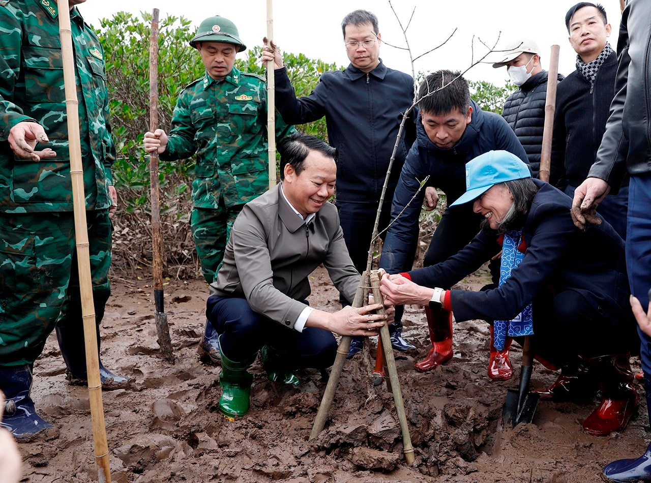 small_20250104_bt-trong-cay-thai-binh_6.jpg