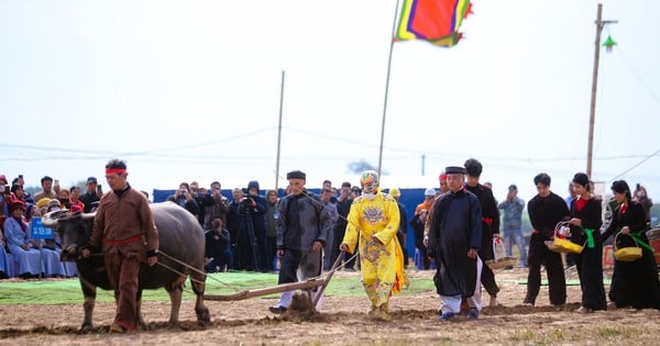 Một nông dân vào vai nhà vua đi cày ruộng