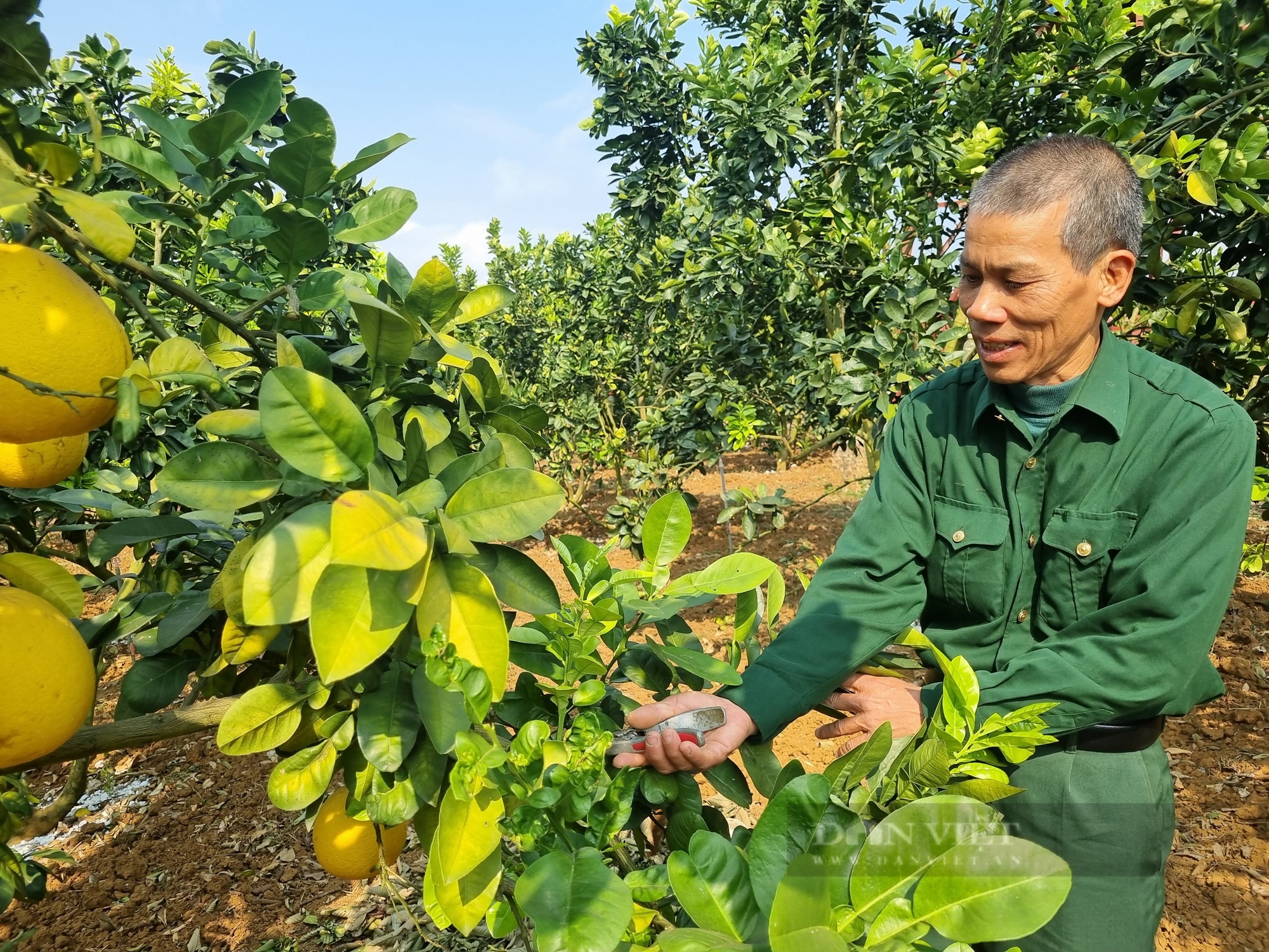 Cách làm hay của nông dân ở vùng đất khó để có của ăn, của để - Ảnh 1.