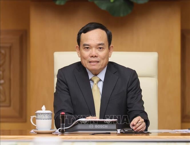 Le camarade Tran Luu Quang occupe le poste de chef du Comité central de politique et de stratégie.