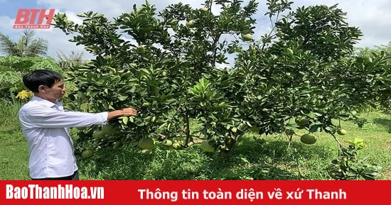 Agribank Bac Thanh Hoa accompanies the development of localities