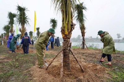 Thousands of trees planted on the occasion of Tree Planting Festival 2025