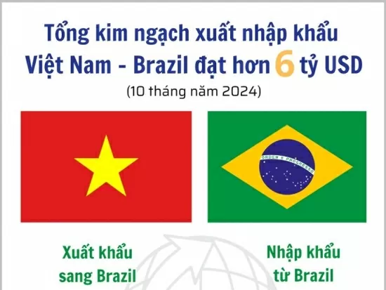 Infografía | El volumen total de importación y exportación entre Vietnam y Brasil supera los 6 mil millones de dólares