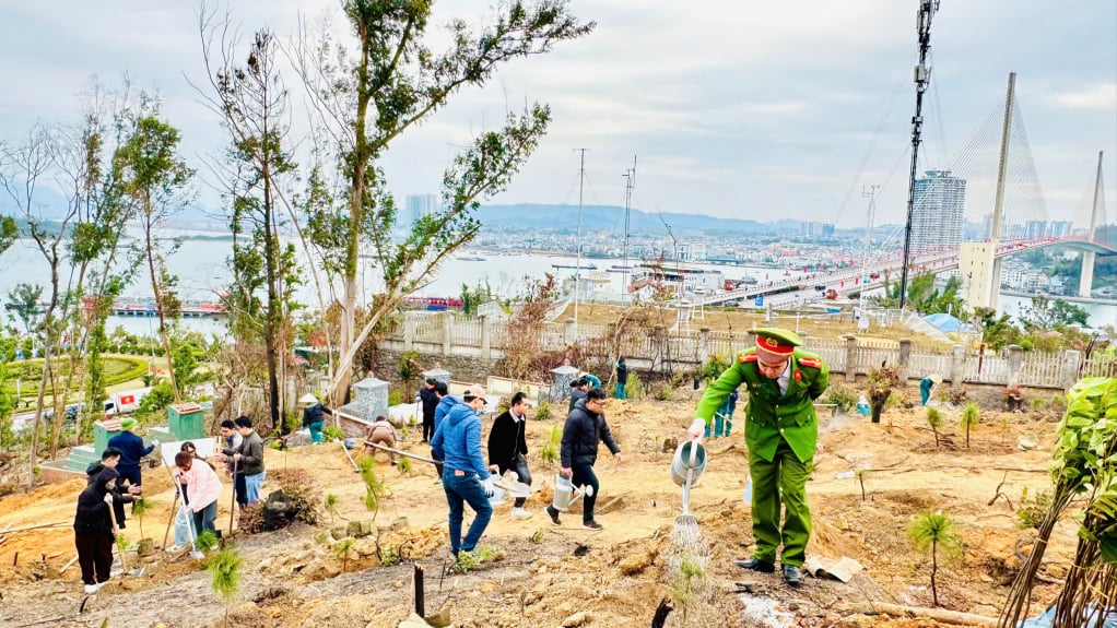 Năm 2025, TP Hạ Long phấn đấu trồng trên 21.500ha rừng.