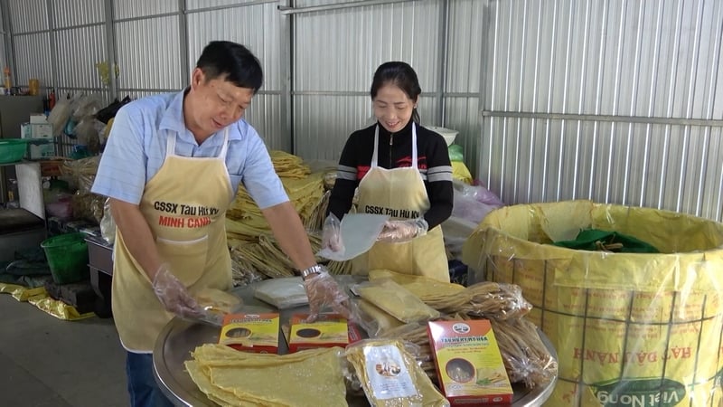 Efficacité du support pour la conception de la peau de tofu