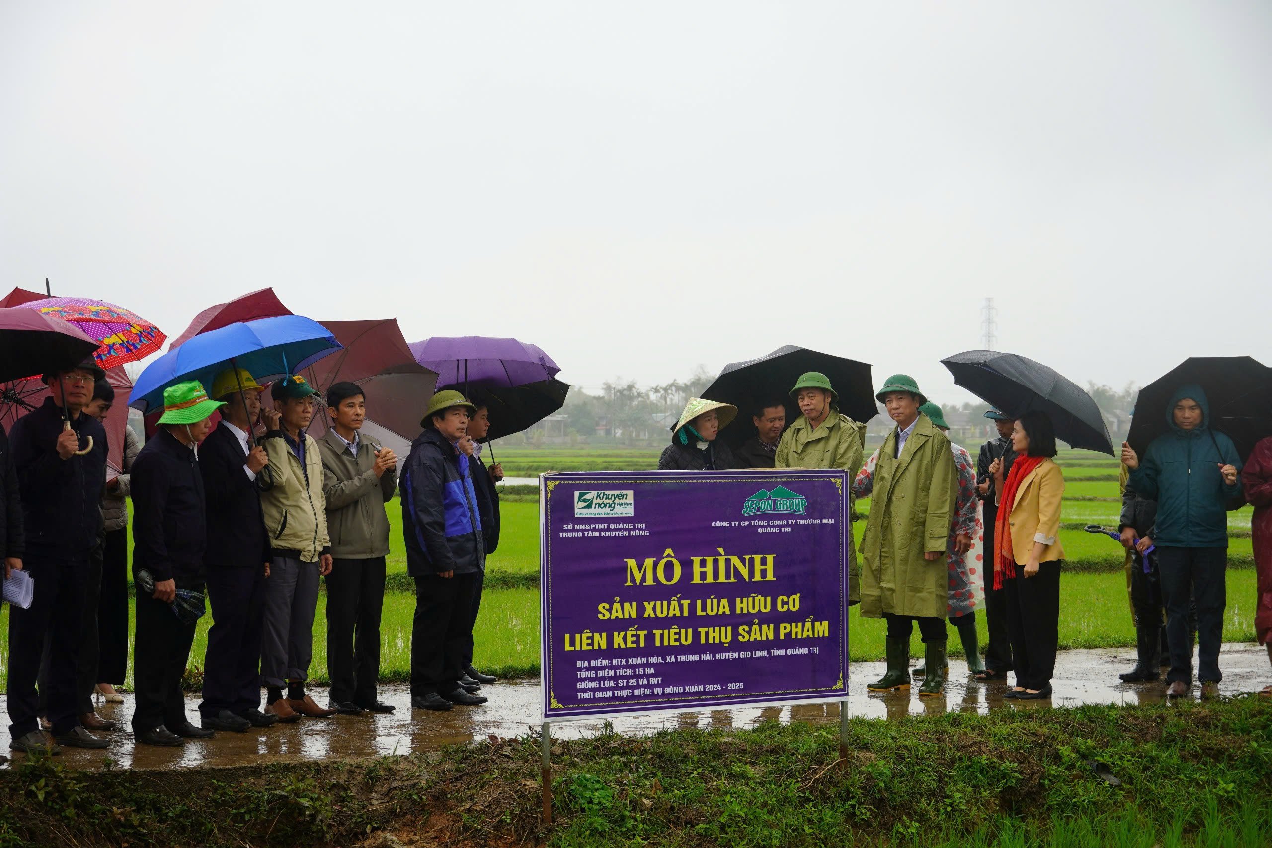 Los líderes provinciales de Quang Tri inspeccionan la situación de la producción a principios del nuevo año en el distrito de Gio Linh.