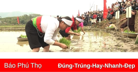 Fête de l'abaissement des terres du peuple Muong dans la commune de My Lung