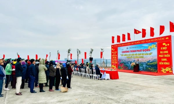 La ville d'Ha Long lance le festival de plantation d'arbres 2025