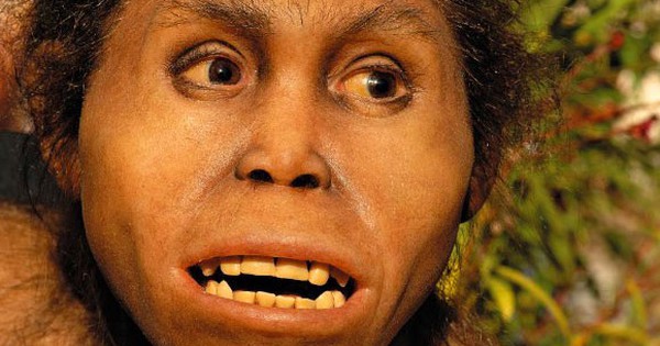 Le mystérieux Homo sapiens qui a découvert l'Europe