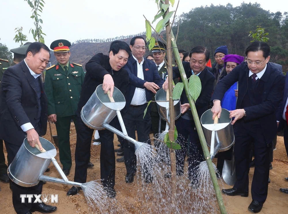 President Luong Cuong and delegates plant trees in Chi Lang district, Lang Son province. Photo: Lam Khanh/VNA