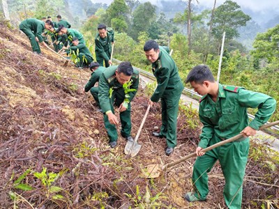 Guardia Fronteriza: Plantación de casi 3.000 árboles de todo tipo