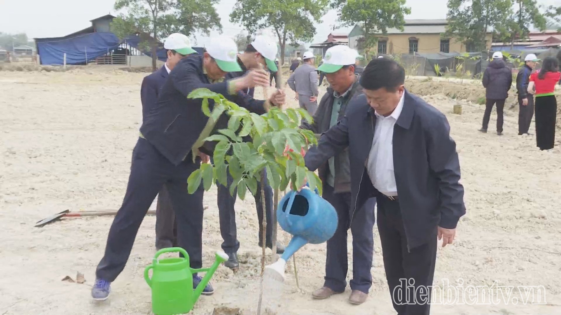 Department of Agriculture and Rural Development organizes Tree Planting Festival