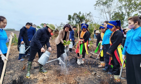 Festival de plantation d'arbres – Construire des rêves verts