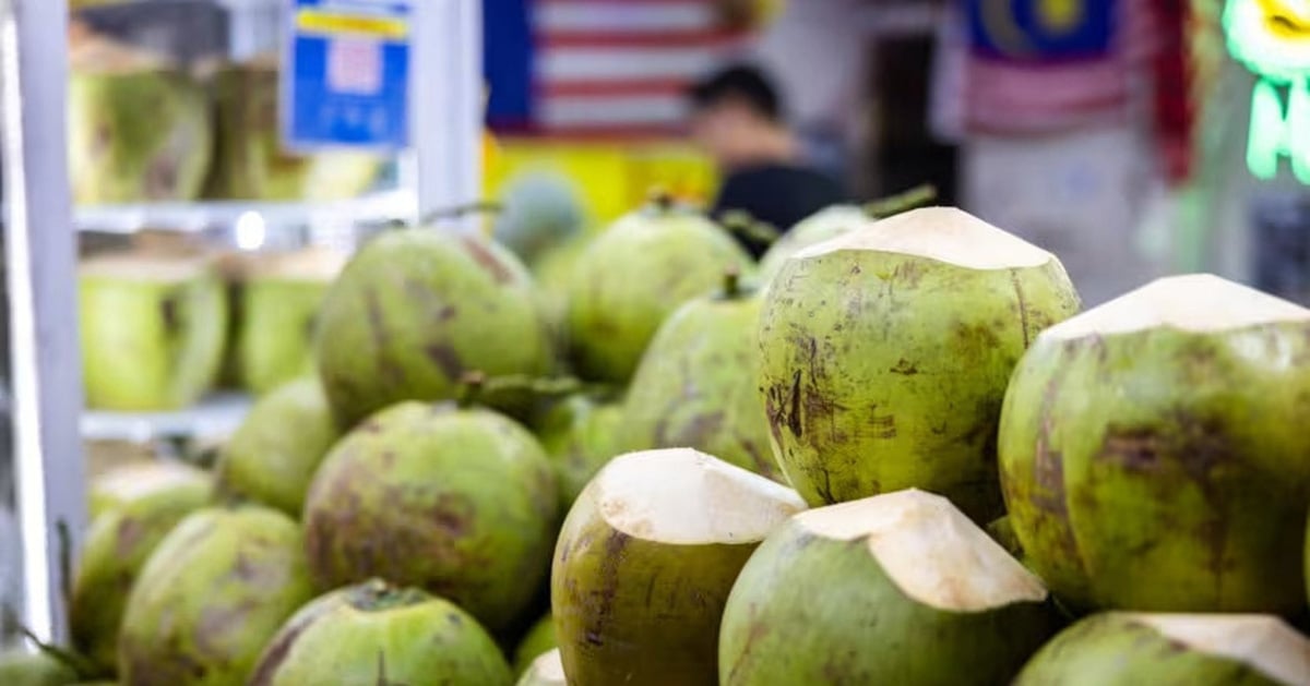 Los precios del coco se disparan y Malasia pide a la población que conserve los cocos