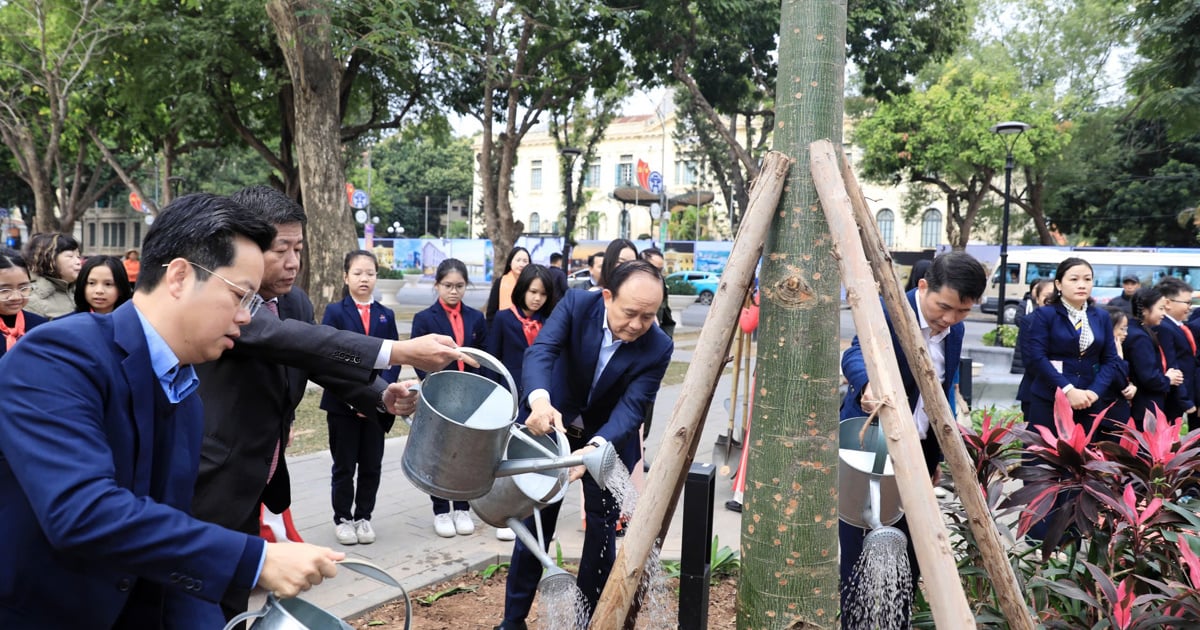 호안끼엠구는 나무 심기와 환경 보호에 관심을 갖고 있습니다