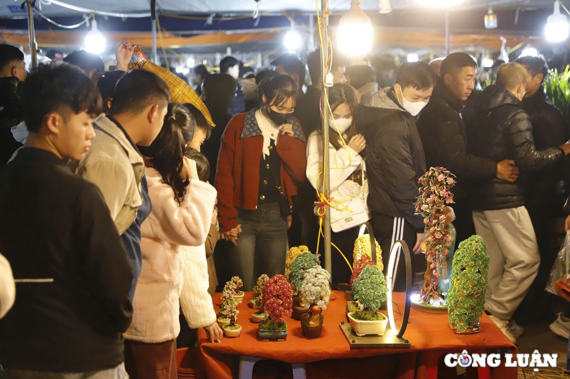 Des touristes apportent des cadeaux au musée provincial de Nam Dinh, photo 3