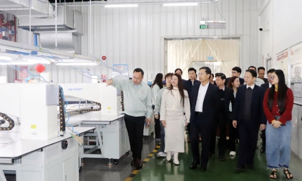 Chairman of the Provincial People's Committee visited and congratulated on the beginning of spring and New Year at Texhong Hai Ha Industrial Park