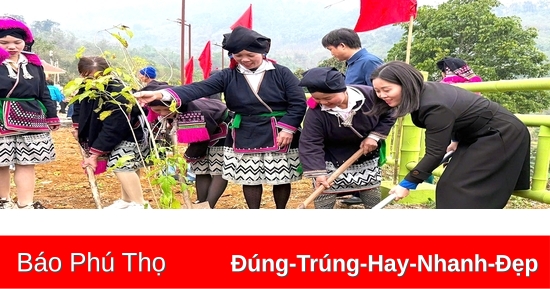 Launching the Tree Planting Festival "Youth of the Homeland Forever Grateful to Uncle Ho" Spring At Ty 2025