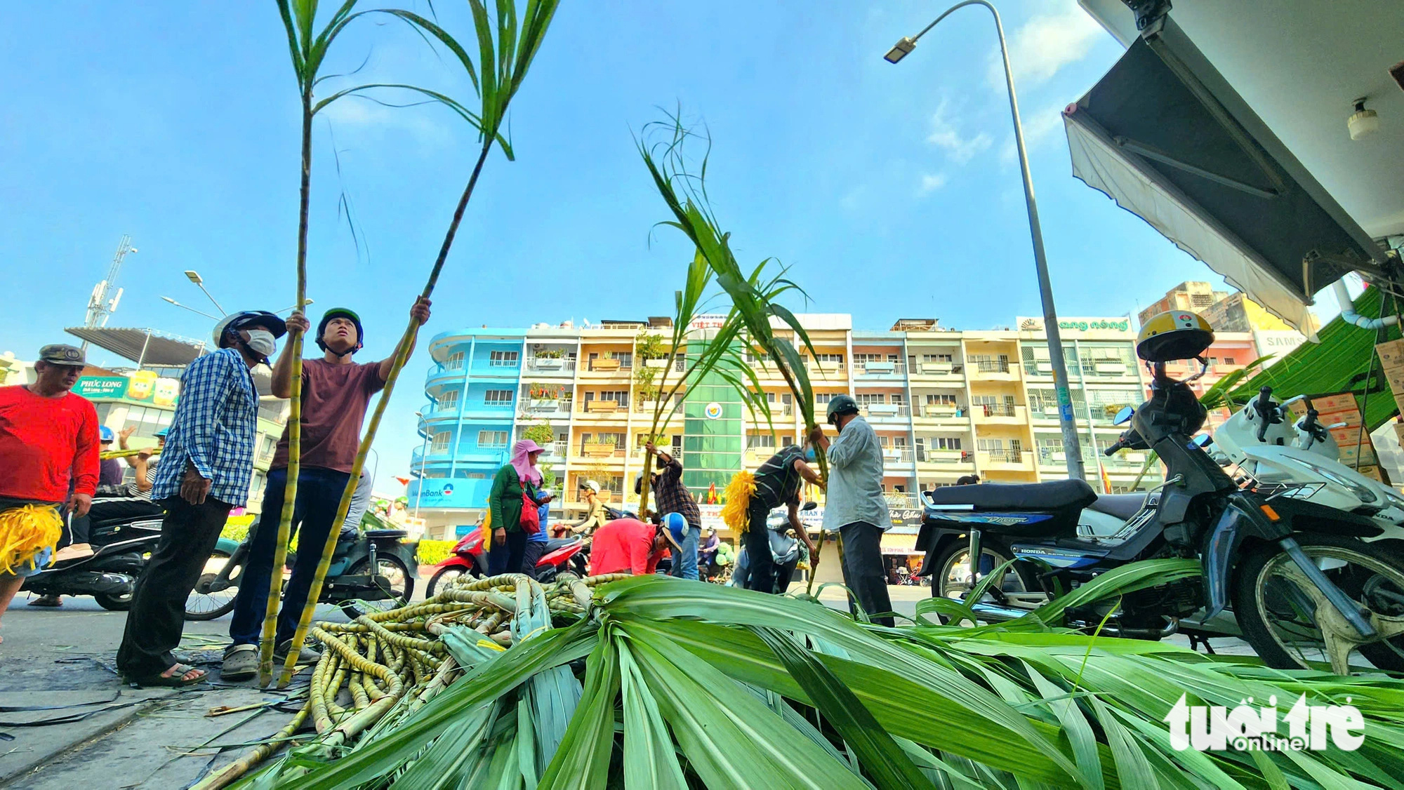 Hoan hỉ mua bán mía vàng trước ngày vía Ngọc Hoàng - Ảnh 6.