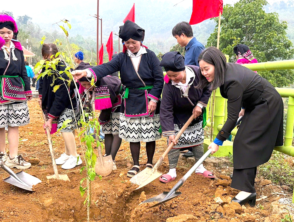 Launching the Tree Planting Festival 