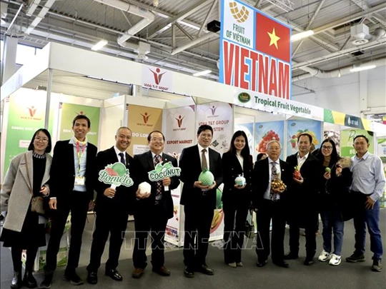 Vietnam participates in Fruit Logistica 2025 in Germany with the largest scale ever