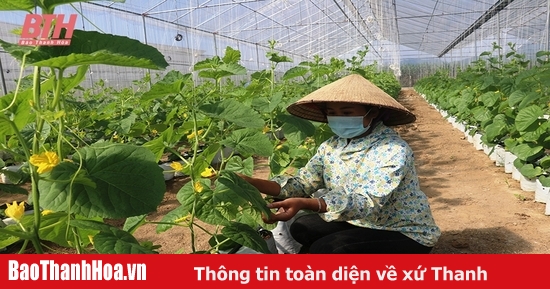 Ứng dụng KH&CN trong phát triển kinh tế nông nghiệp ở khu vực miền núi