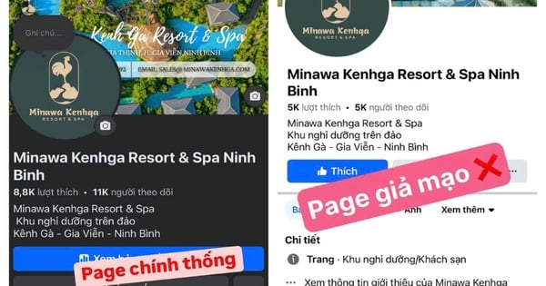 Tourists were scammed out of more than 1 billion VND when booking rooms online