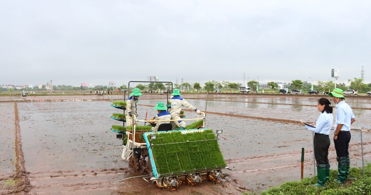 sắp diễn ra hội thi sản xuất mạ khay, lái máy cấy giỏi