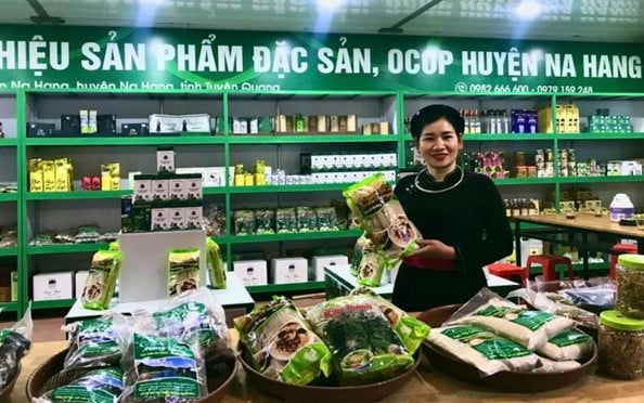 Tuyen Quang: OCOP-Produkte erzielen einen Durchbruch und bestätigen ihre Marke auf dem Markt