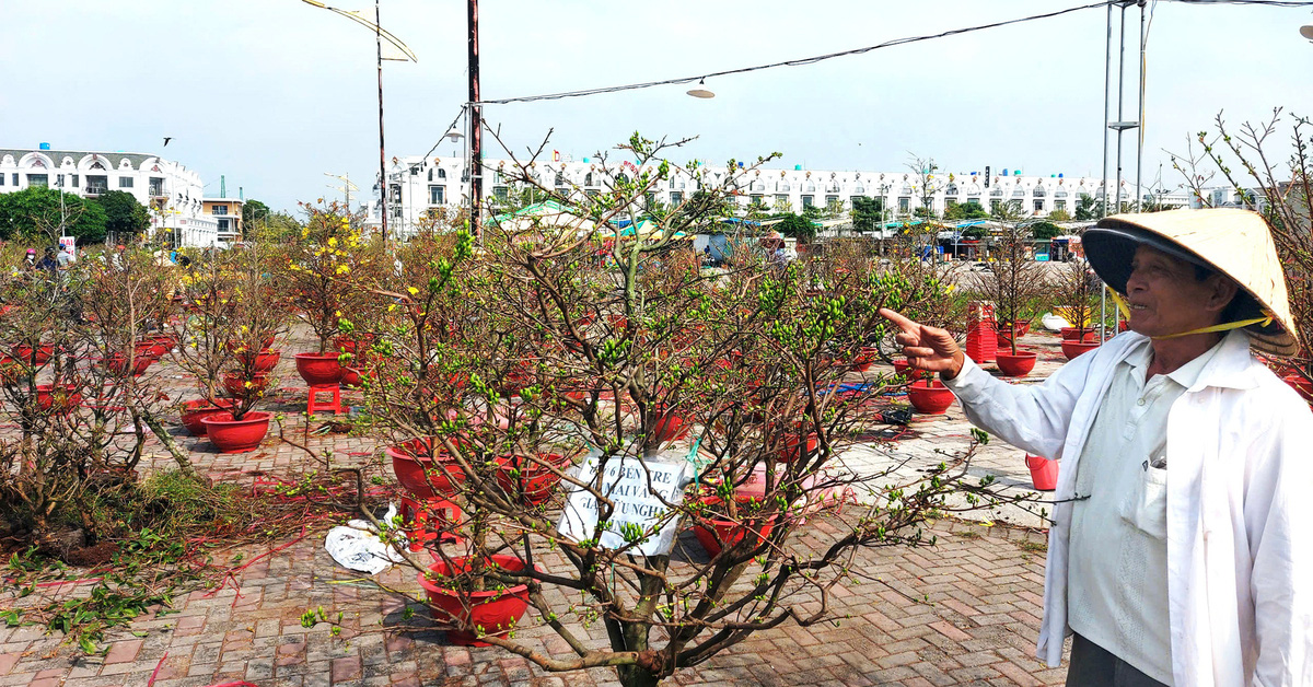 Tet-Blumenmarkt: Wer gewinnt, wer verliert?