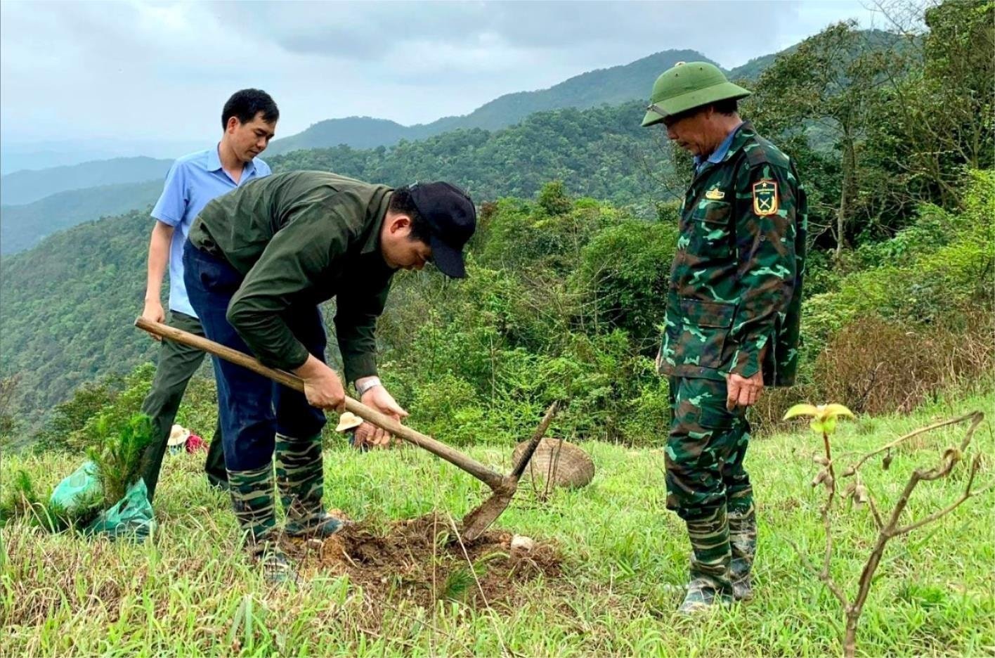 Hai Duong promeut la reforestation