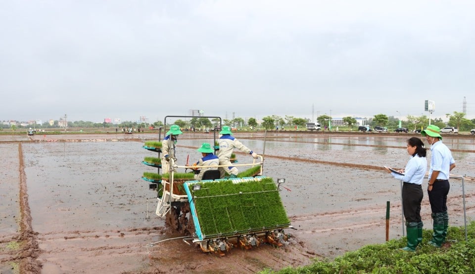 ក្រុមអនុវត្តម៉ាស៊ីនស្ទូងនៅក្នុងវាលនៅក្នុងការប្រកួត 