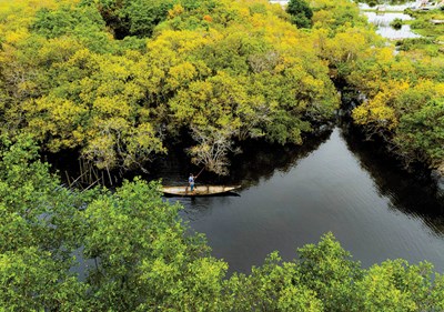 Aprovechar las ventajas de los bosques y las montañas