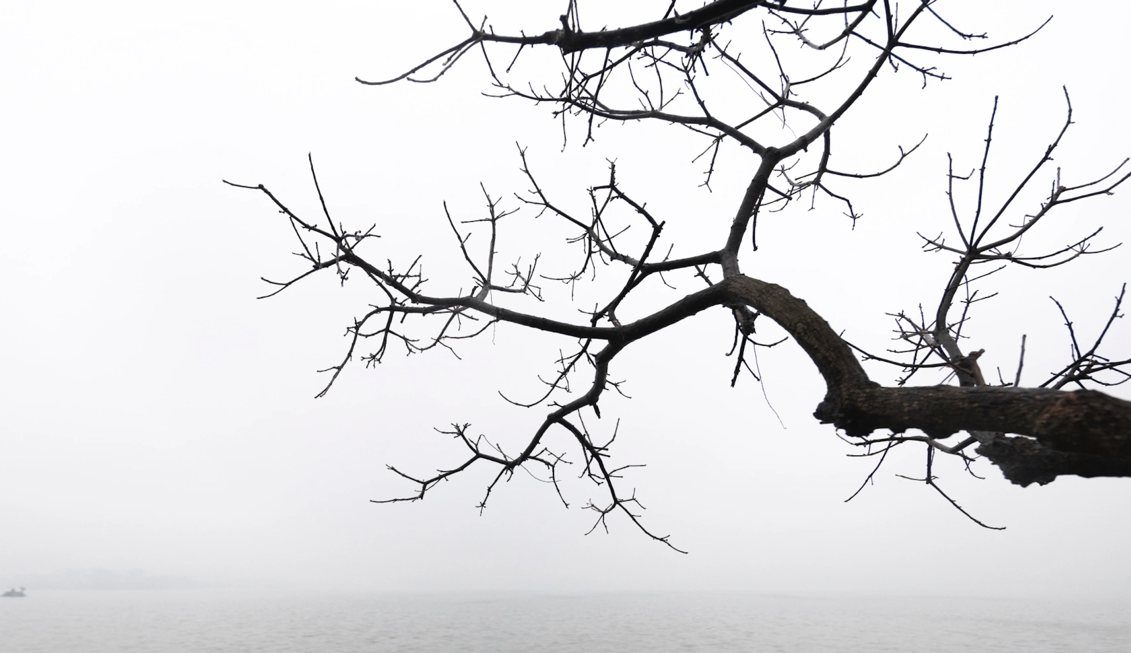 Dichter Nebel in Hanoi