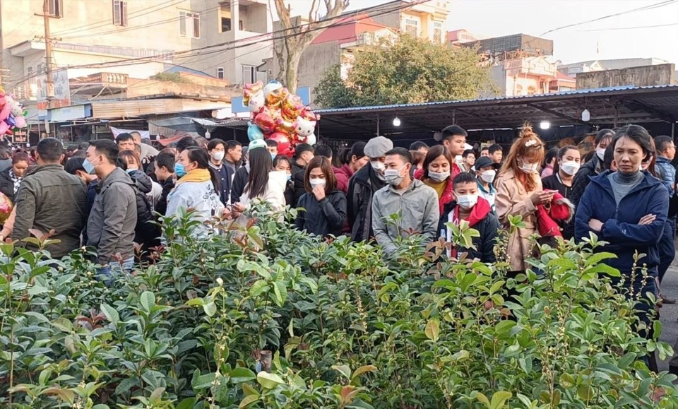  Les touristes affluent à la foire de Vieng, dans le district de Nam Truc, à Nam Dinh. Photo : Thu Thuy